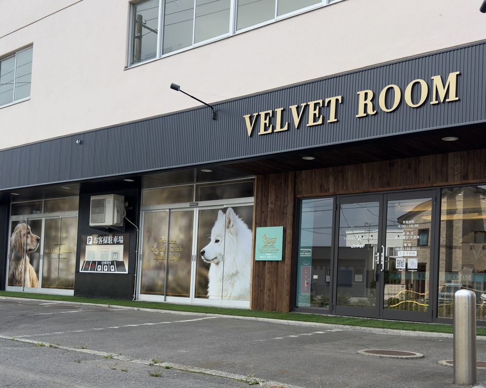 VELVET ROOM 内観 1