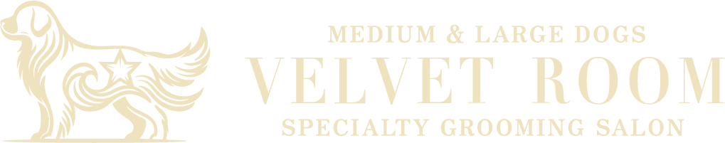 VELVET ROOM