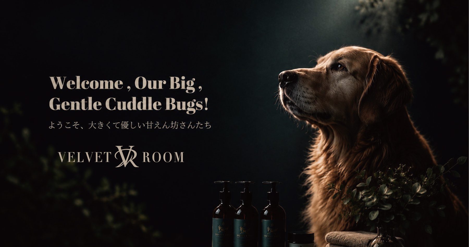 VELVET ROOM